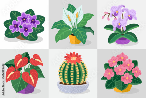 Decorative tropical flowers and greenery vector set, vibrant houseplants, colorful indoor botanical art, exotic foliage illustration, natural design elements, blooming floral style
