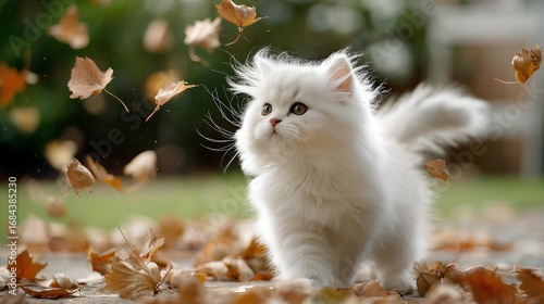 Persian Kitten Exploring Autumn Scene