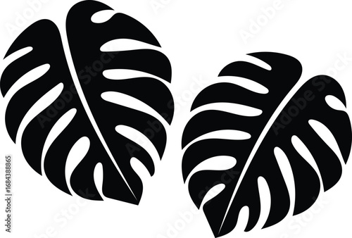 Monstera Leaf Silhouette Vector