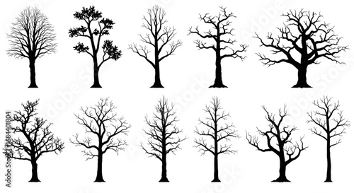 Bare Winter Tree Silhouettes Seasonal Forest Design Elements Set of bare tree silhouettes representing winter, autumn, and natural landscape