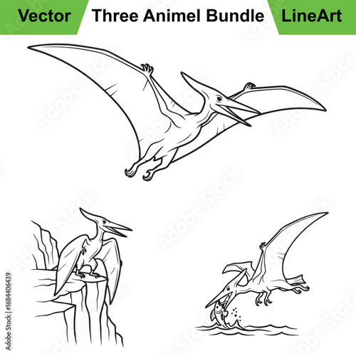 Three Pterodactyl Illustrations in a Bold Prehistoric Line Art Style