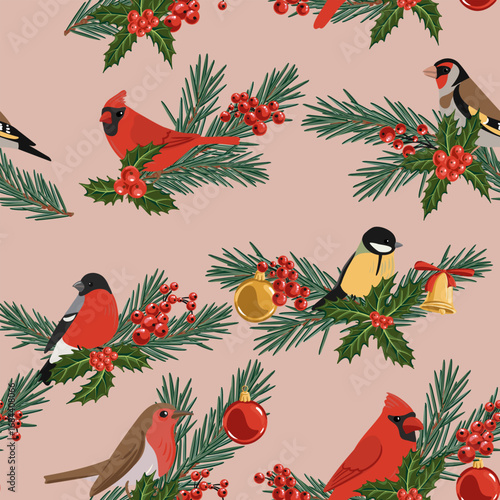 vector drawing Christmas seamless pattern, red cardinals, robins and tit birds at fir branch with green needles and holly leaves and red berries, hand drawn illustration