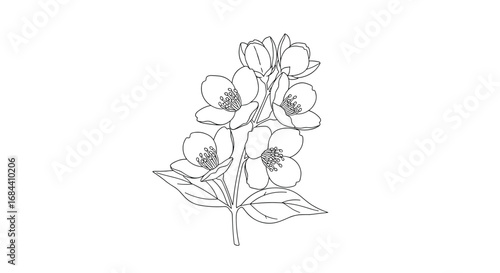 Elegant jasmine flower illustration perfect for design projects, adding beauty and style