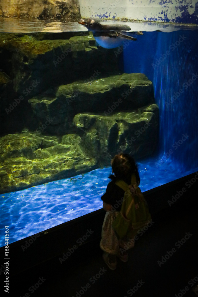 Fototapeta premium 水族館で泳ぐペンギンと観覧する人々