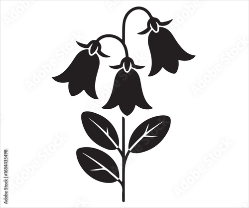 Vector silhouette of wildflower with stem and bell blossoms