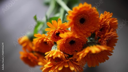Vibrant orange flowers in a close-up shot