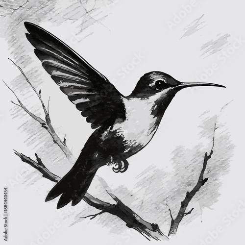 Elegant Hummingbird Sketch in Grayscale Tones.