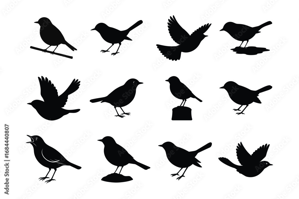 Obraz premium Robin silhouette vector illustration, Black Robin silhouette vector bundle 