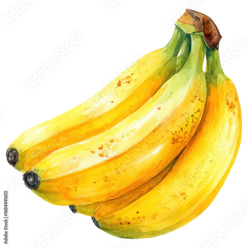 Watercolor bunch of ripe bananas