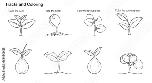 Vector art of tracts and coloring of plant growth stages