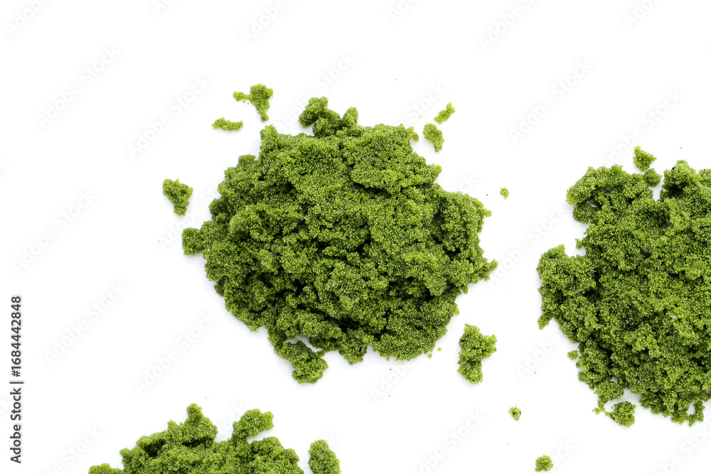 Obraz premium Fresh water alga, water meal or swamp algae