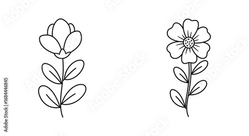 simple line drawings of two distinct floral designs