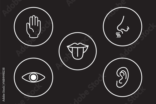 Five human senses editable stroke outline icons set isolated on white background flat vector illustration. Pixel perfect. Simple line icons and color circles, vector illustration. Best Designs. EPS 10