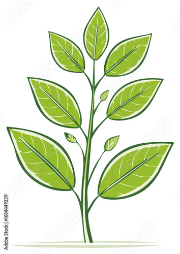 Illustration of a vibrant green plant with leaves and buds isolated on a white background. Vector graphic plant element.