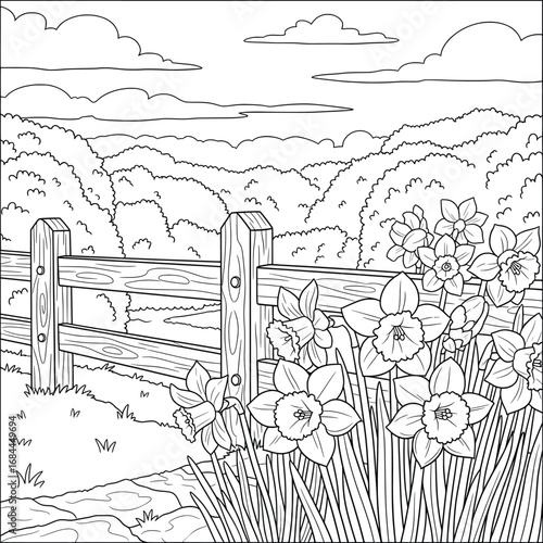Daffodil flowers blooming beside a rustic wooden fence line art vector illustration featuring spring blossoms with scenic hills perfect for coloring pages greeting cards and floral design projects