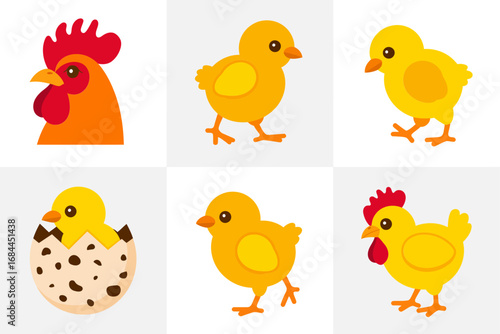 Chicken and chick vector illustrations, rooster, hen, baby chick icons, farm poultry graphics, countryside agriculture design lifestyle set,