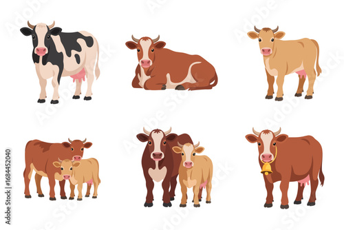 Farm cow vector illustrations, standing cattle herd, calf and bull characters, rural agriculture concept, domesticated livestock animal graphics