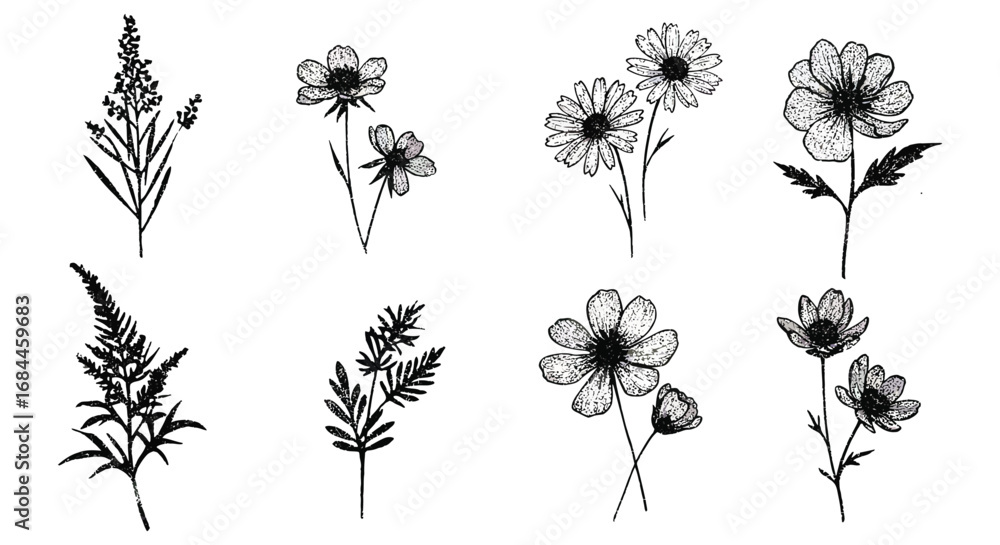 Fototapeta premium various botanical illustrations featuring flowers and plants