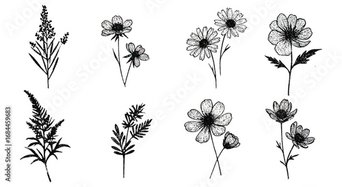 various botanical illustrations featuring flowers and plants