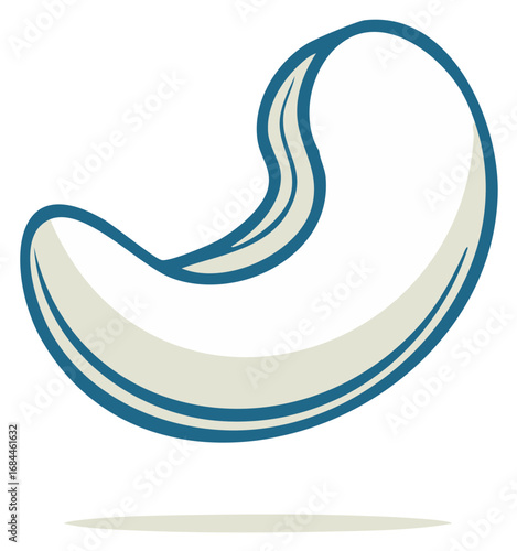 Cartoon illustration of a cashew nut