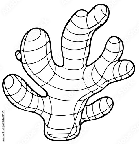 Monochrome Organic Ginger Root Line Art Illustration with Abstract Grid Pattern
