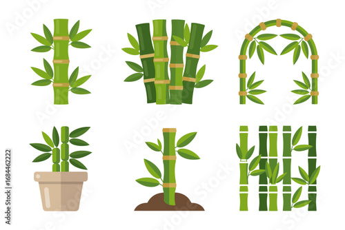 Tropical bamboo stalk illustration set, green bamboo shoots potted plants archway elements, natural eco vector icons, decorative graphics
