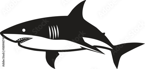 Shark Animal Vector Logo in Minimalist Black and White, Simple Design Ideal for Wildlife Branding and Nature Illustration
