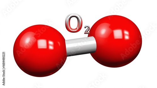 Oxygen molecule model