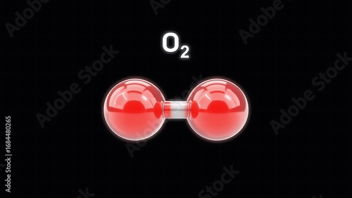 Oxygen Molecule Model