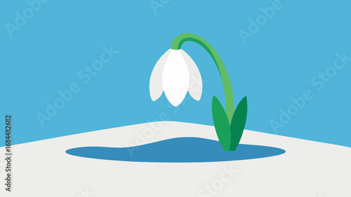 White Snowdrop Carpet Nature Vector Illustration Delicate Winter Flower