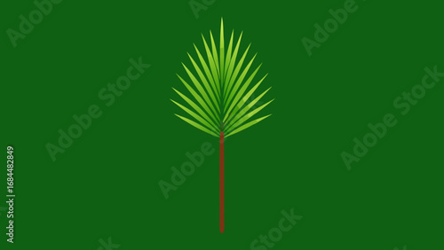 Sharp Pine Needle Nature Vector Illustration Evergreen Tree Foliage Element