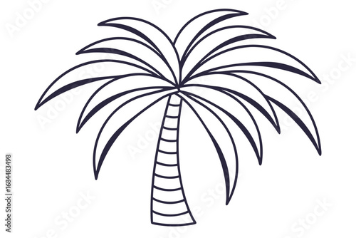 Outline illustration of a palm tree with fronds on a white background tropical nature