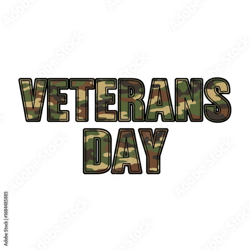 Camouflage inspired lettering celebrates veterans day with respect and commemoration service