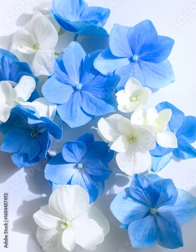 Wallpaper Mural Bright blue and white hydrangeas Torontodigital.ca