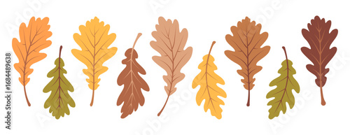 Autumn oak leaves set. Collection of colorful fall foliage isolated on white background. Hand drawn vector illustration in flat style. Botanical elements for autumnal design