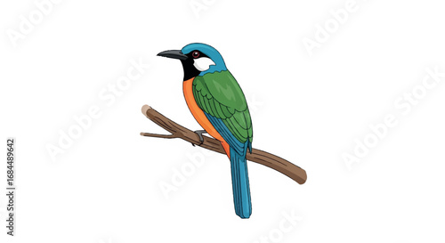 A colorful bee-eater bird with blue head, green back, and orange chest perched on a tree branch.