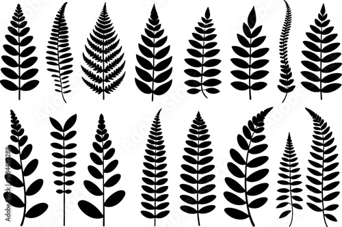 Mixed fern leaf vector pack, intricate frond silhouettes, decorative botanical set, nature motif elements for logo branding, packaging posters