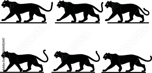 Tiger silhouette sprite sheet, walking frames of tiger, motion sequence vectors, multiple pose study, wildlife animation asset pack