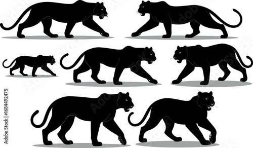 Tiger silhouette frames, walking pose variations, predator motion vector collection, wildlife design assets, animation ready jungle sprites
