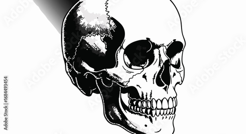 Vector Minimalist Line Art SVG Illustration of Human Skull in Black and White Geometric Style for Medical and Educational Use