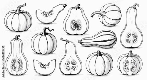 Minimalist Vector SVG Illustration of Pumpkins and Squash in Monochrome Flat Style for Autumn Harvest Decor