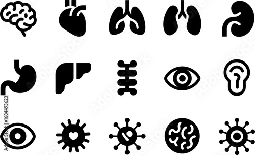 Human organ icon set, brain heart lungs kidney stomach ear eye liver spleen spine, medical vector symbols for infographics