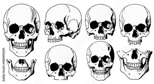 Line Art Skull Vector SVG Illustration Set with Minimalist Black and White Style for Web and Digital Design