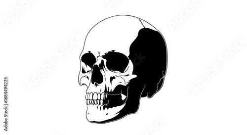 Minimalist Vector SVG Illustration of a Skull with Black and White Contrast in Line Art Style for Dark Aesthetic Design