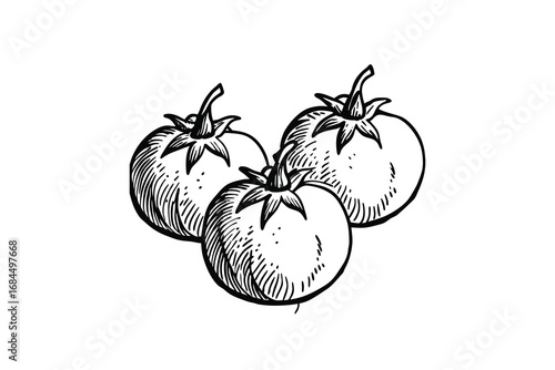 Hand drawn sketch of three ripe red tomatoes in a cluster presented as a silhouette isolated on white background
