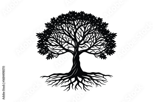Detailed silhouette of a large deciduous tree with extensive root system isolated on white background