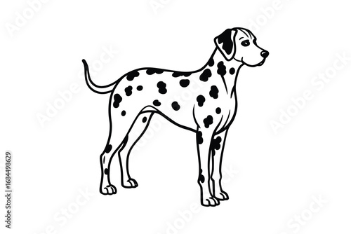 A classic dalmatian dog with distinctive black spots stands proudly in a detailed silhouette isolated on white background