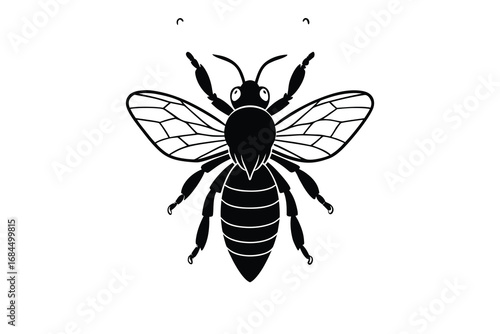 Detailed black silhouette of a honey bee with intricate wings and segmented body isolated on white background silhouette