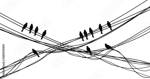 Birds perched on power lines, communication, energy