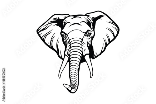 Close up head of an african elephant with large ears and trunk facing forward presented as a bold black silhouette isolated on white background